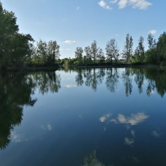 Lac de barbis