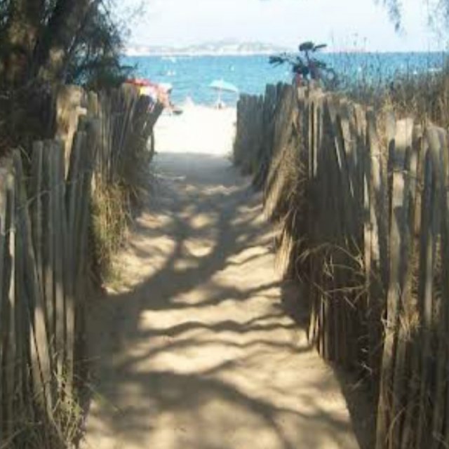 Bolgheri