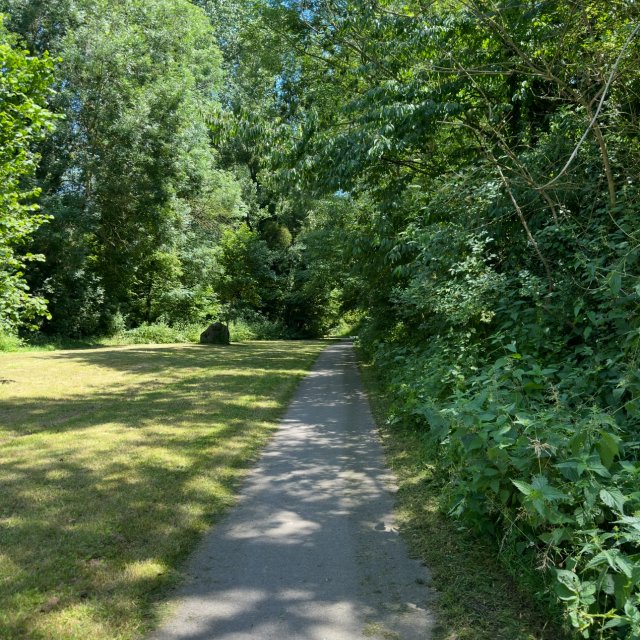 Forêt de Oissery