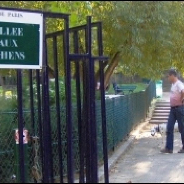 Allée aux chiens, Parc Geroges Brassens