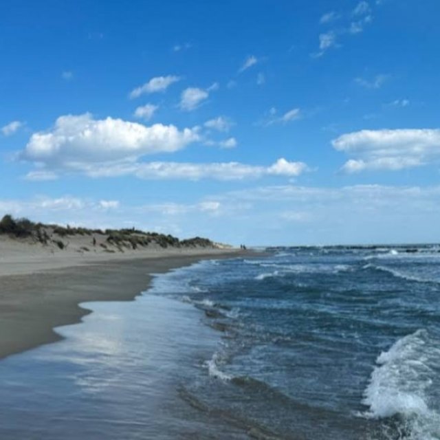 Plage de L'espiguette
