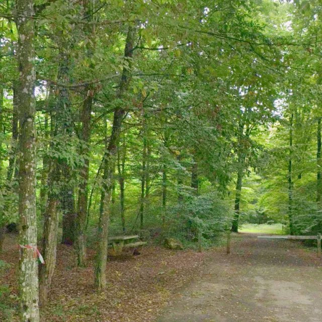 Petit parking en forêt