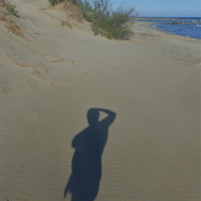 Plage de l'Espiguette