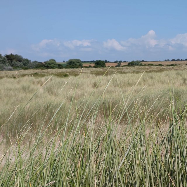 Plage de Dragey-Ronthon