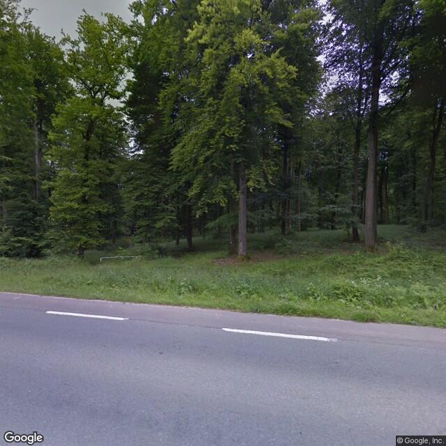 Forêt d'Hesdin